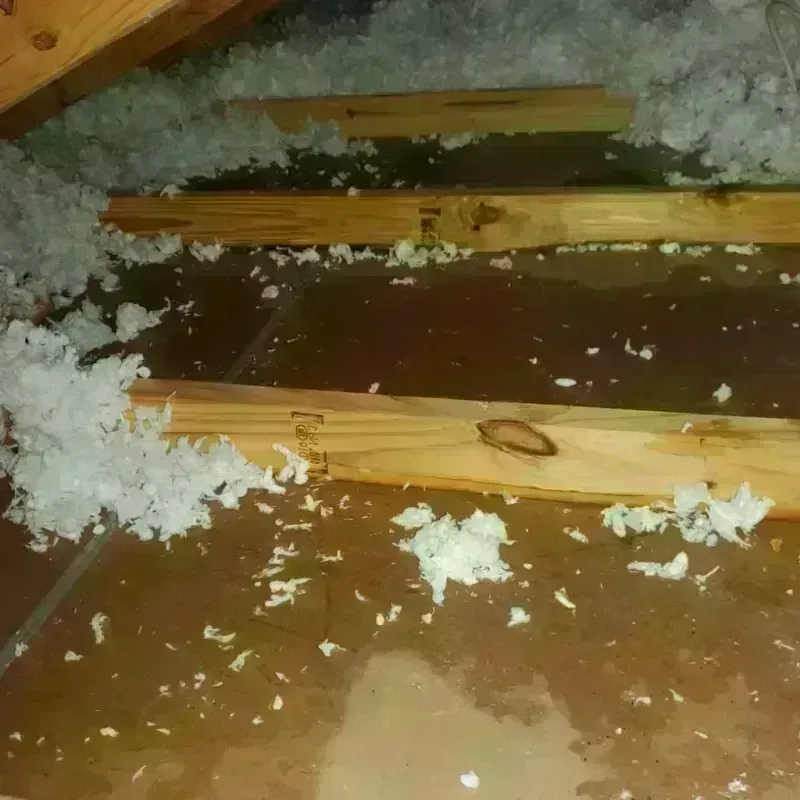 Attic Water Damage in New Durham, NH